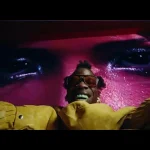 Seyi Vibez – Cana (Video)